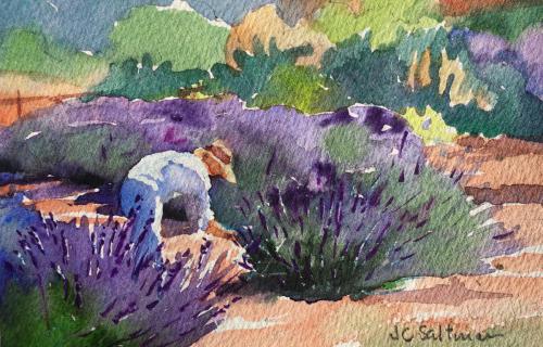 Lavender Harvest